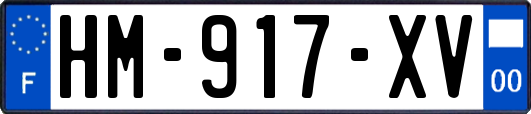 HM-917-XV
