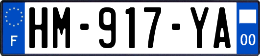 HM-917-YA