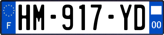 HM-917-YD