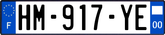 HM-917-YE