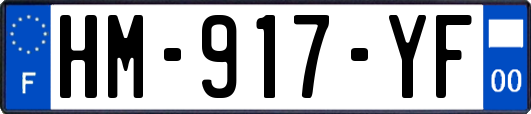 HM-917-YF