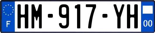 HM-917-YH