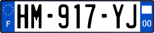 HM-917-YJ