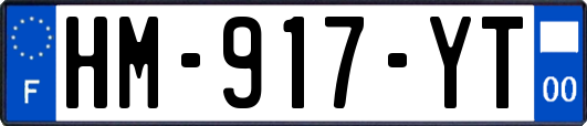 HM-917-YT
