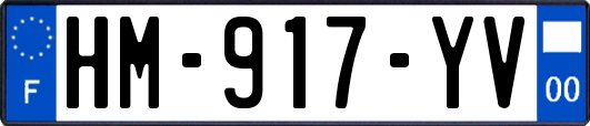 HM-917-YV