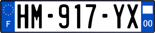 HM-917-YX