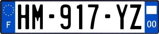 HM-917-YZ