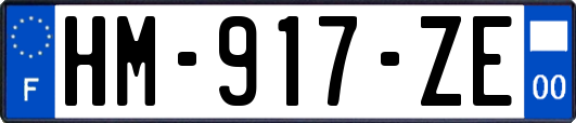 HM-917-ZE
