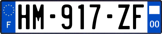 HM-917-ZF