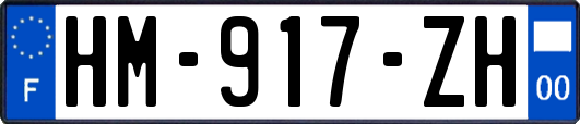 HM-917-ZH