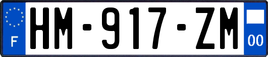 HM-917-ZM