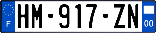 HM-917-ZN