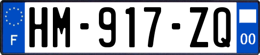 HM-917-ZQ