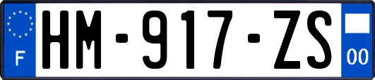 HM-917-ZS