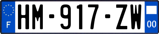 HM-917-ZW