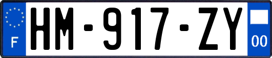 HM-917-ZY