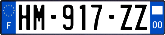 HM-917-ZZ