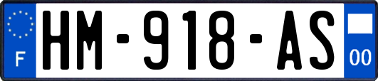 HM-918-AS