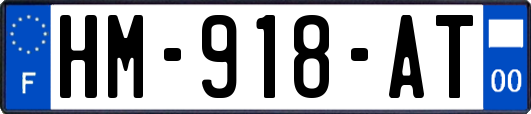 HM-918-AT