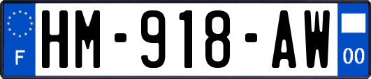 HM-918-AW
