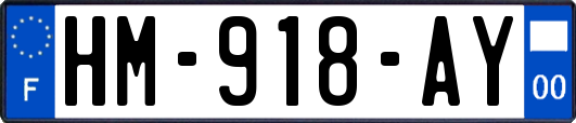HM-918-AY