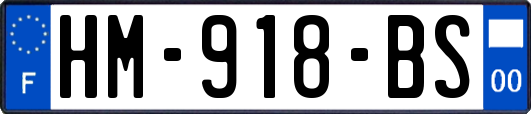 HM-918-BS