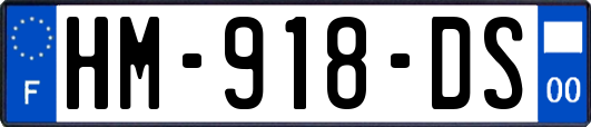 HM-918-DS