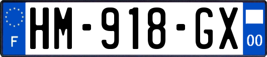 HM-918-GX