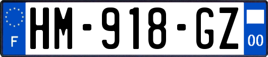 HM-918-GZ