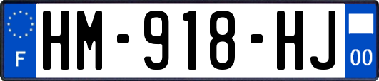 HM-918-HJ