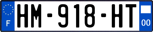 HM-918-HT