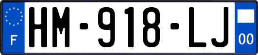 HM-918-LJ