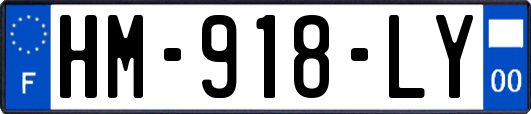 HM-918-LY