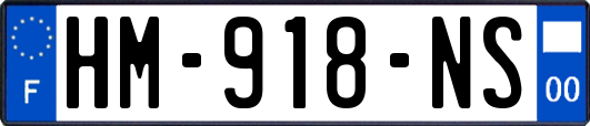HM-918-NS
