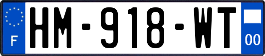 HM-918-WT