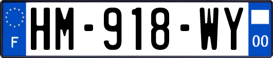 HM-918-WY