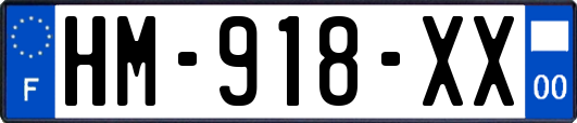 HM-918-XX