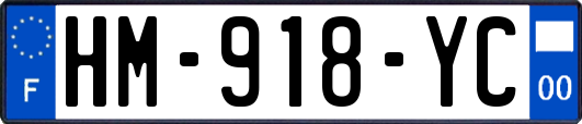 HM-918-YC