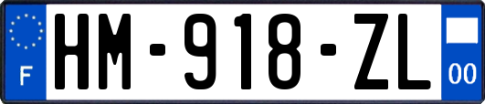 HM-918-ZL