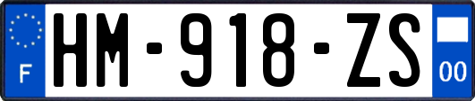 HM-918-ZS