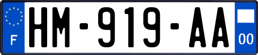 HM-919-AA