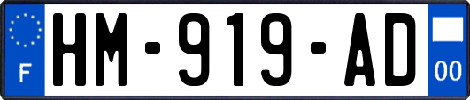 HM-919-AD