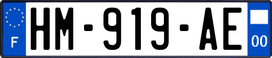 HM-919-AE