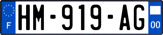 HM-919-AG