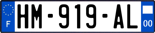 HM-919-AL