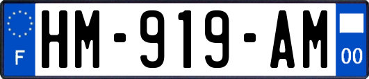 HM-919-AM