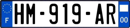 HM-919-AR