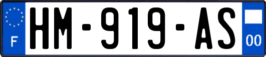 HM-919-AS
