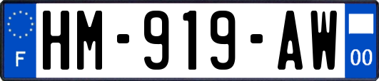 HM-919-AW
