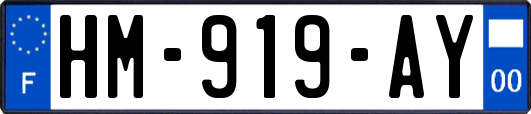 HM-919-AY